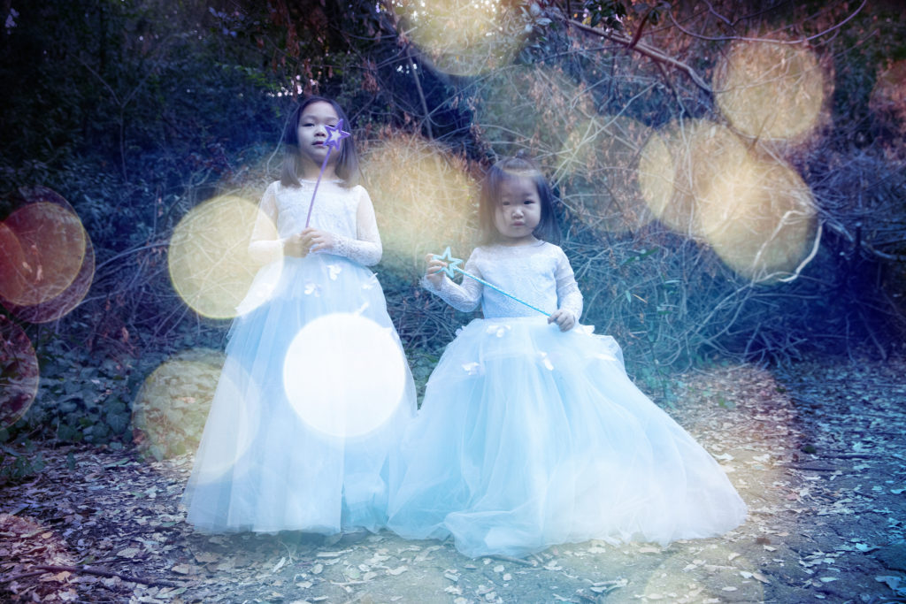 little fairy princesses