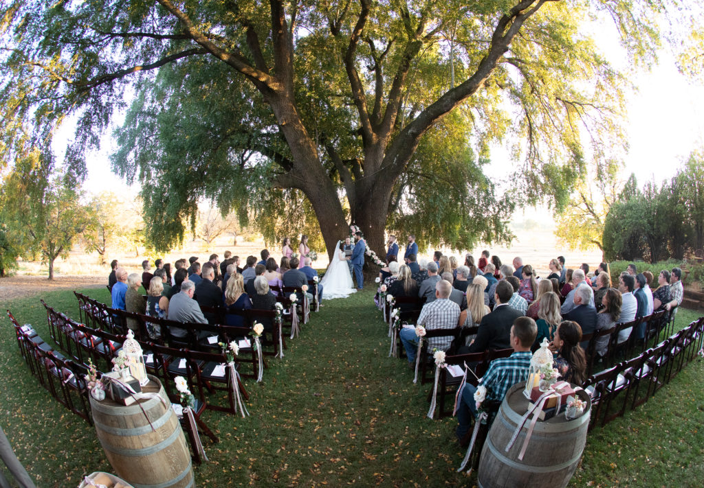 Twin fir Ranch wedding, married under an oak tree, oak tree ceremony