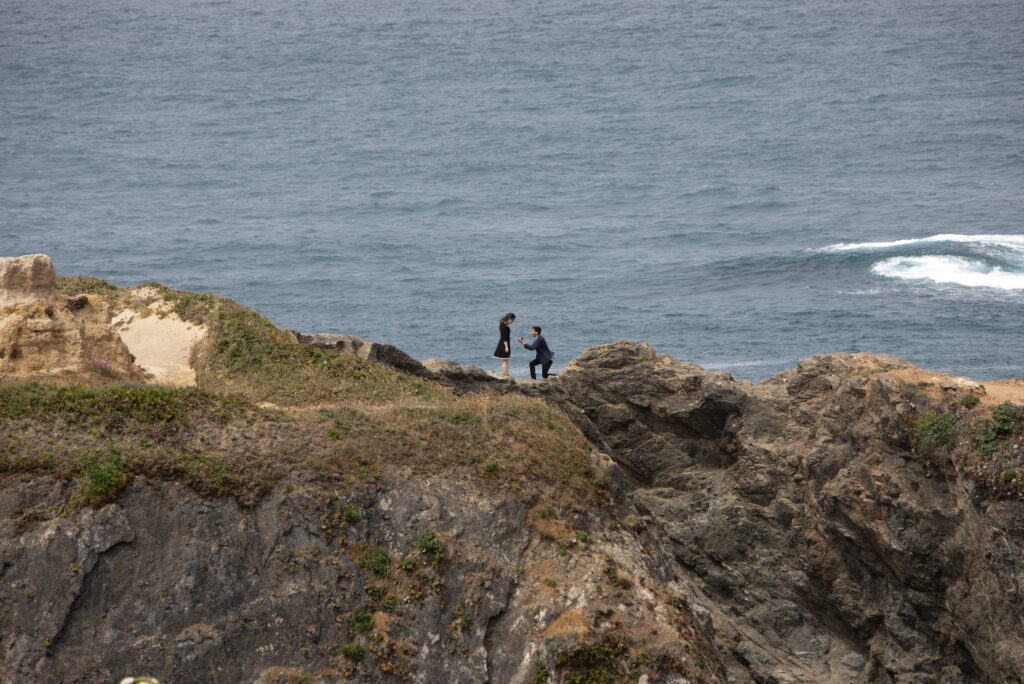 Surprise proposal shoot Mendocino