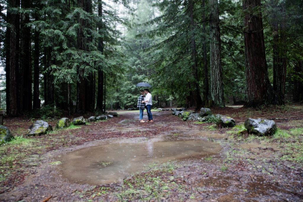  mendocino forest engagement shoot in rain