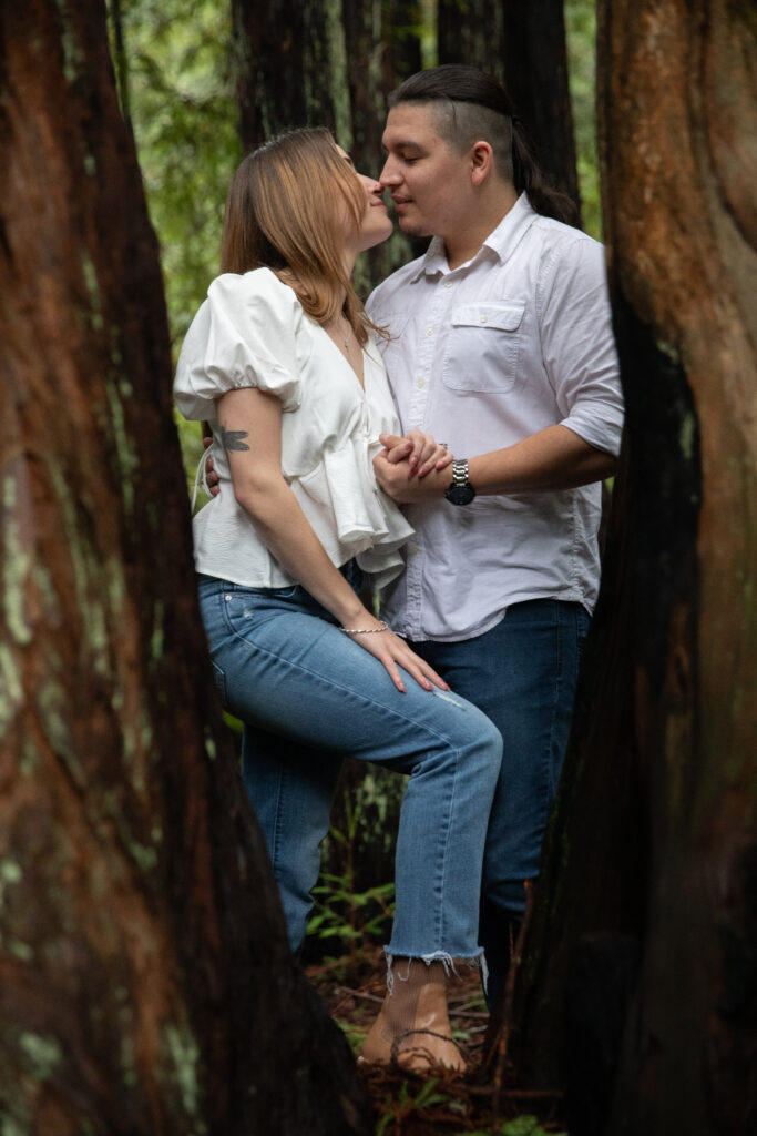 engagement shoot in redwoods
